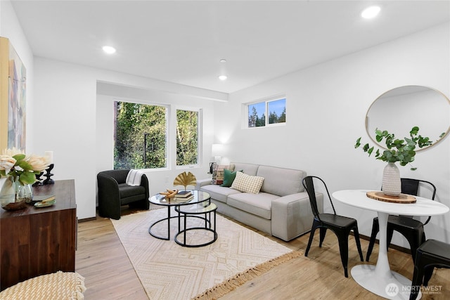 living room with light hardwood / wood-style flooring