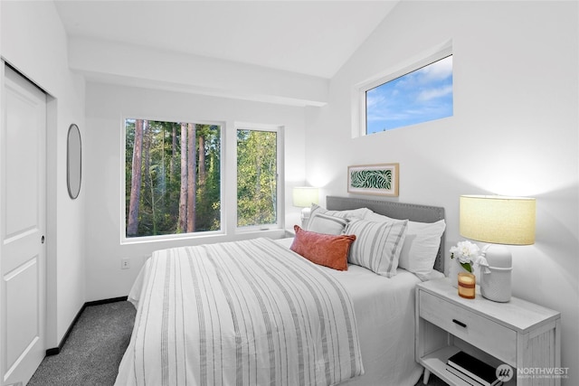 carpeted bedroom featuring lofted ceiling