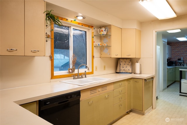 kitchen with dishwasher, a healthy amount of sunlight, and sink