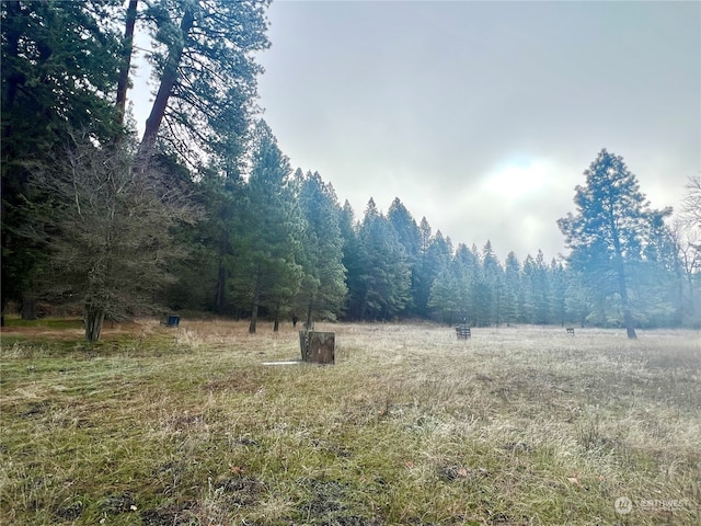 view of local wilderness featuring a rural view