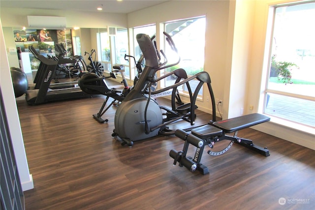 workout area featuring dark hardwood / wood-style flooring, a wall unit AC, and plenty of natural light