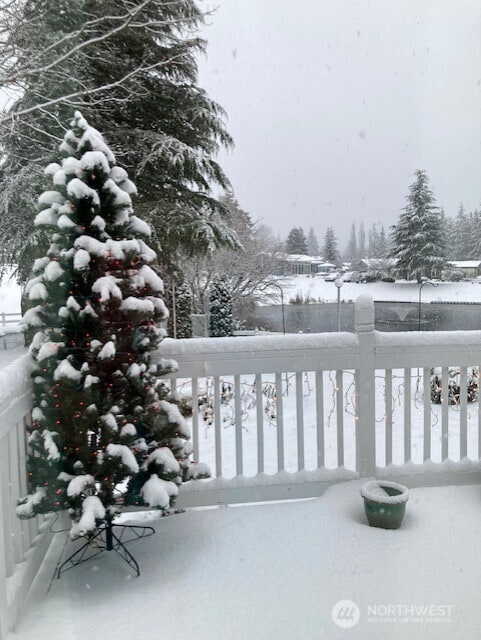 view of yard covered in snow