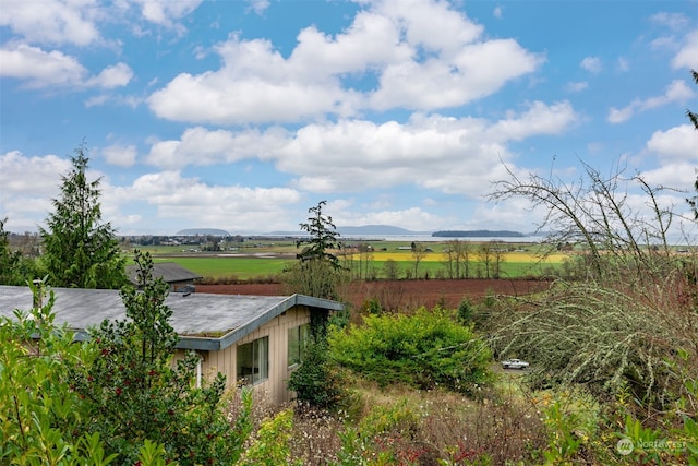 view of yard with a mountain view and a rural view