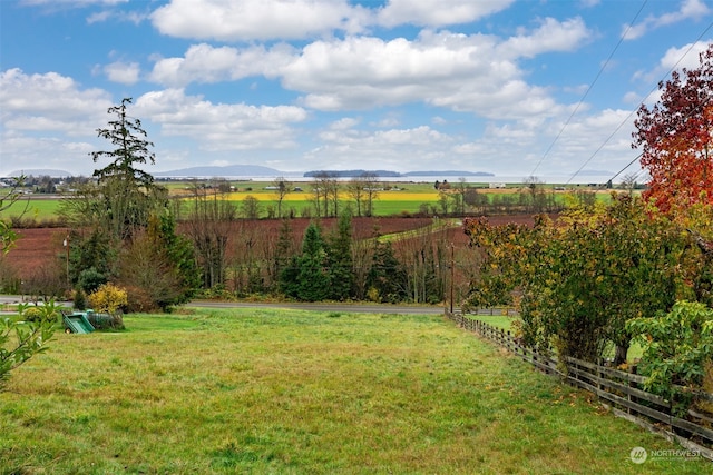 view of yard featuring a mountain view and a rural view