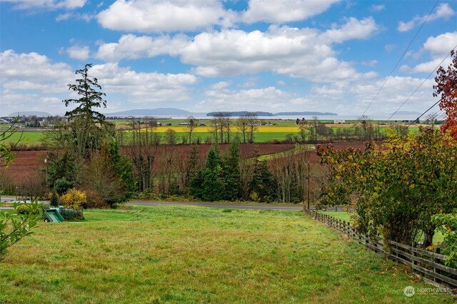 view of yard featuring a mountain view and a rural view