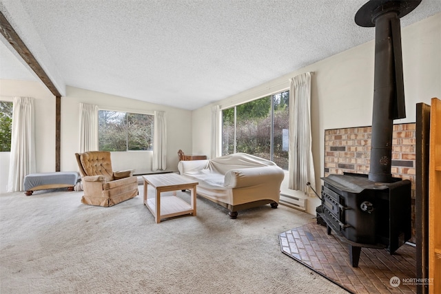 carpeted living room featuring baseboard heating, a wood stove, lofted ceiling, and a textured ceiling