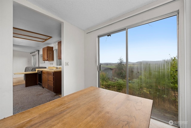 unfurnished dining area with sink, light colored carpet, and a textured ceiling