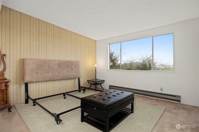 sitting room with carpet, a textured ceiling, and baseboard heating