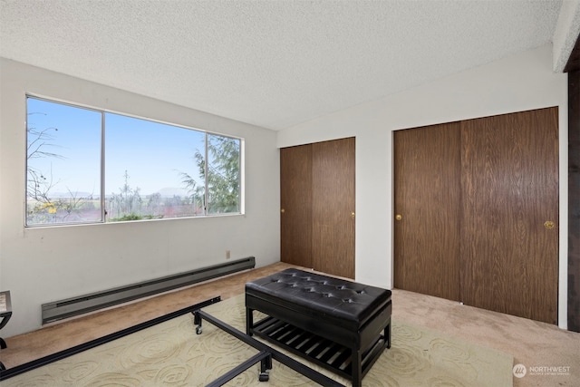 interior space with a textured ceiling, vaulted ceiling, baseboard heating, and multiple closets