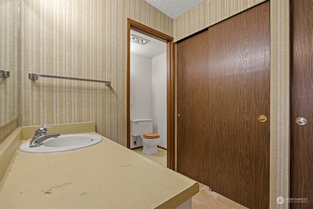 bathroom featuring vanity, toilet, and a textured ceiling