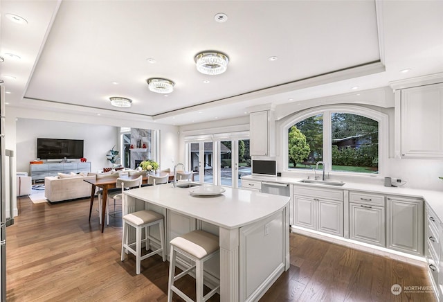 kitchen featuring white cabinets, a center island with sink, and a raised ceiling