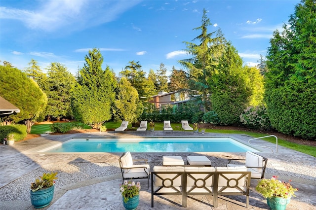 view of pool featuring a patio