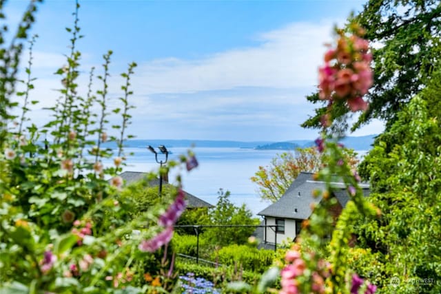2810 46th Ave W, Seattle, WA 98199 - view of water feature with a mountain view