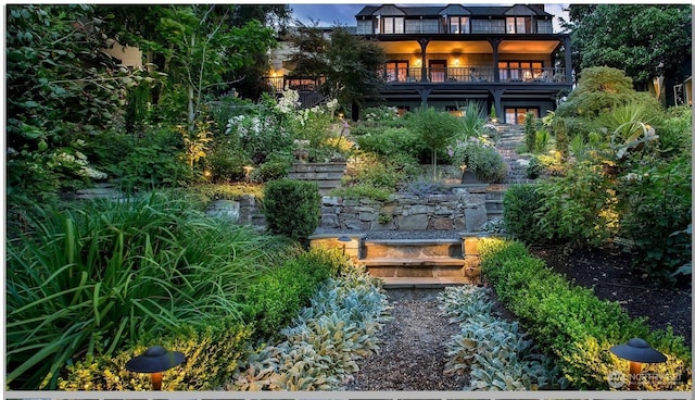 view of yard with a balcony