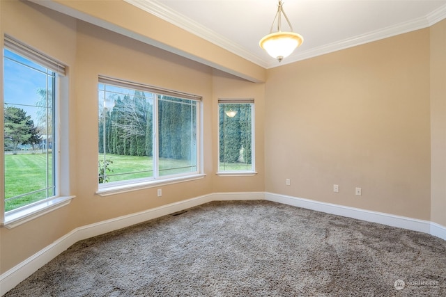 empty room with carpet flooring and ornamental molding