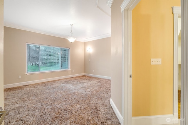 carpeted spare room featuring crown molding