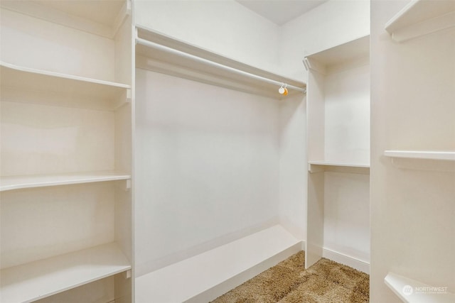 20086 Cherry Rd NW, Soap Lake, WA 98851 - view of walk in closet