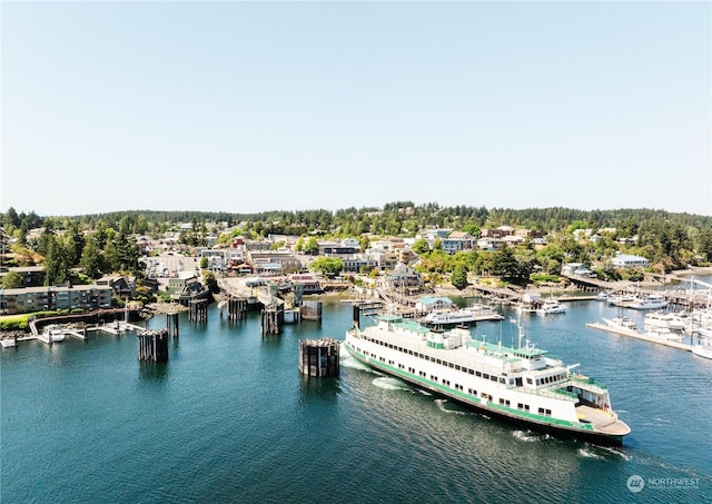 birds eye view of property with a water view