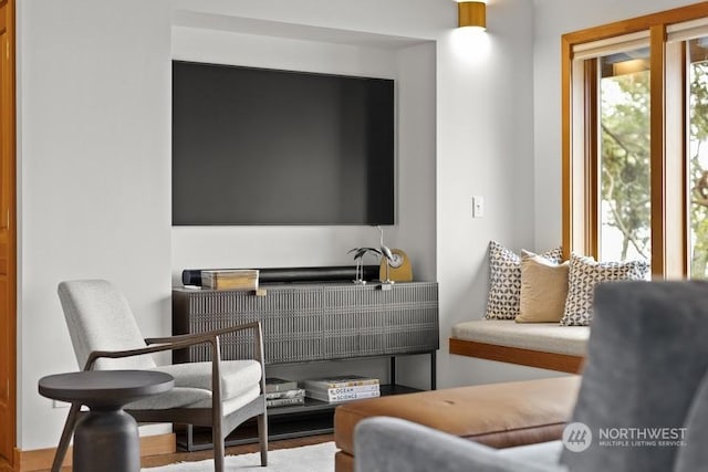 sitting room featuring a wealth of natural light