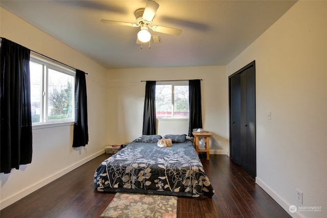 bedroom featuring ceiling fan, dark wood-type flooring, and multiple windows