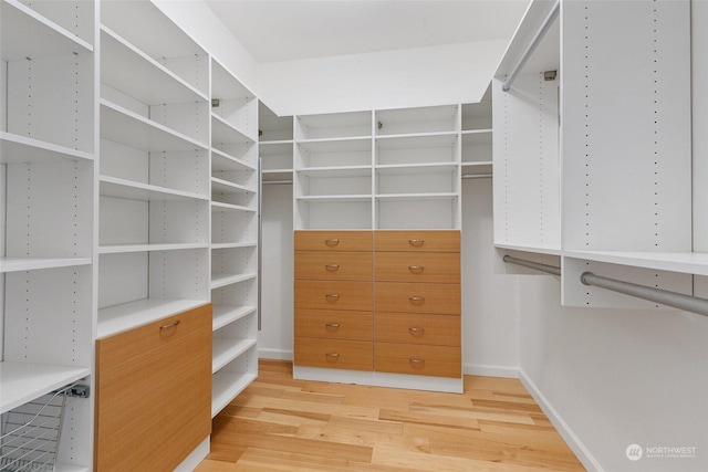 spacious closet featuring light wood-type flooring