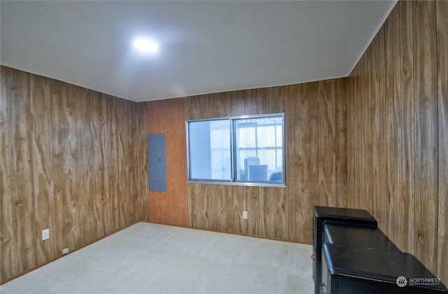 interior space featuring carpet flooring, wood walls, and electric panel