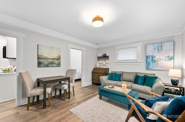 living room featuring light hardwood / wood-style floors