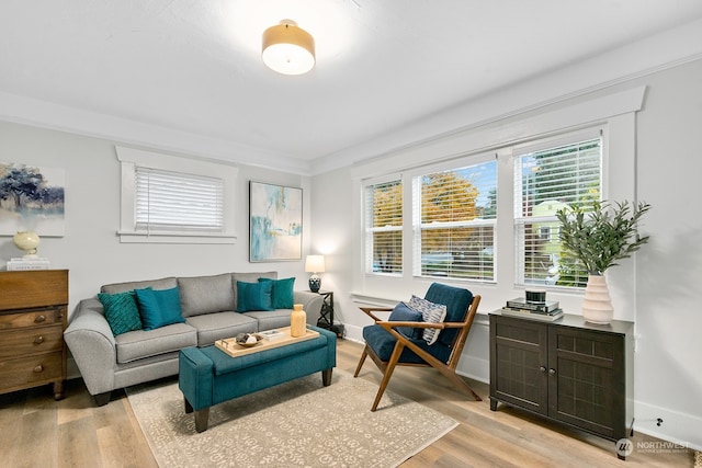 interior space featuring light hardwood / wood-style floors and crown molding