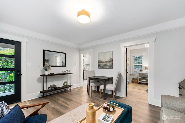 living room with wood-type flooring