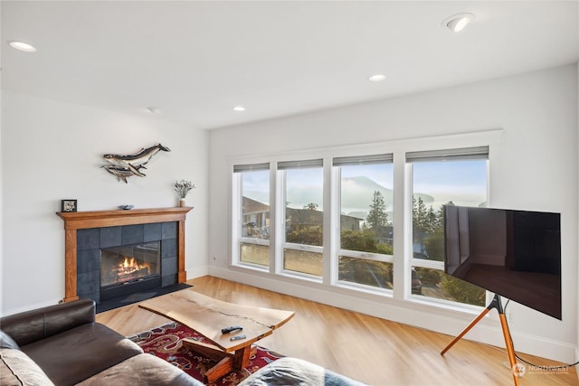 living room featuring a mountain view, light hardwood / wood-style floors, and a tile fireplace