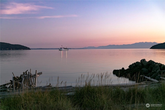 water view featuring a mountain view