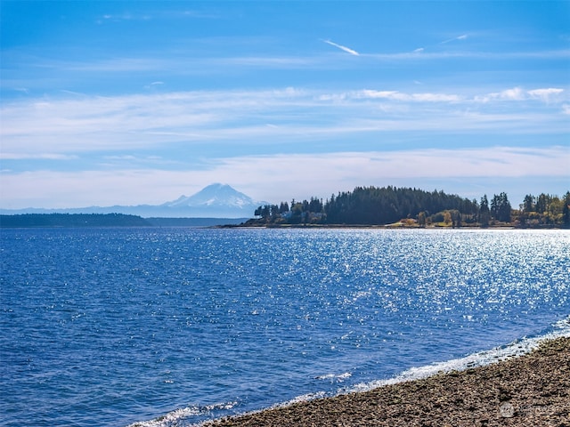 water view with a mountain view