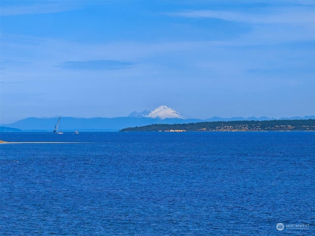 property view of water with a mountain view