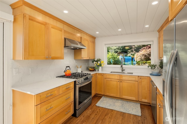 kitchen featuring backsplash, exhaust hood, sink, hardwood / wood-style flooring, and stainless steel appliances