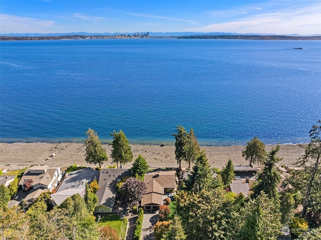 water view featuring a view of the beach