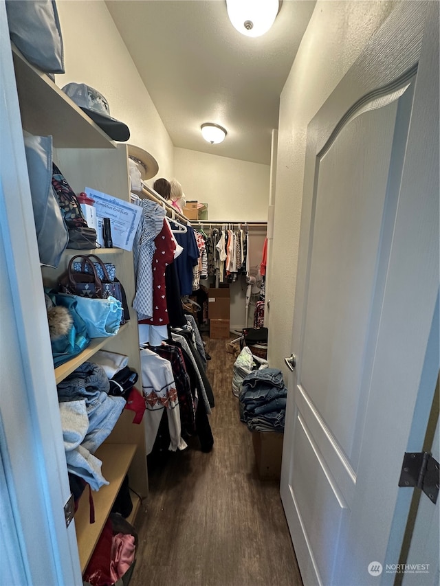 walk in closet with dark wood-type flooring