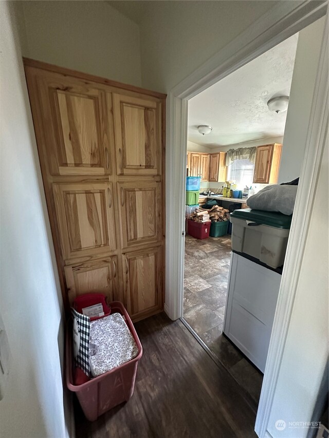 doorway featuring dark hardwood / wood-style flooring