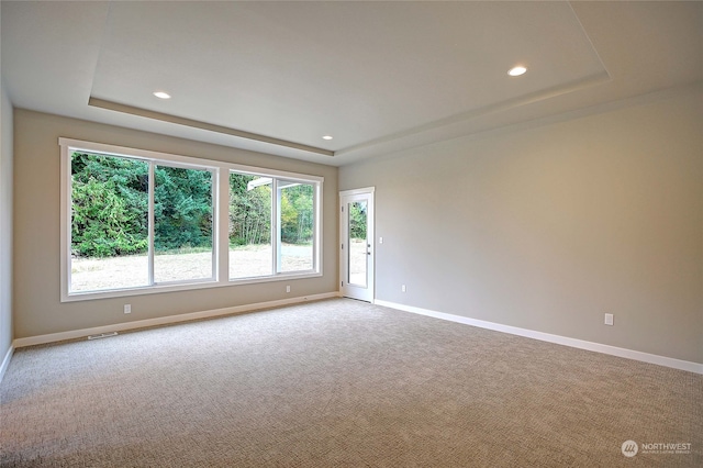 carpeted empty room featuring a tray ceiling