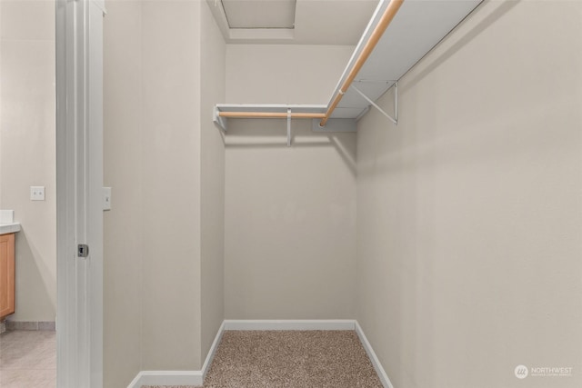 spacious closet with light colored carpet