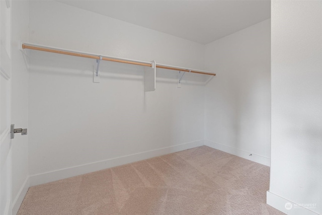 walk in closet with light colored carpet