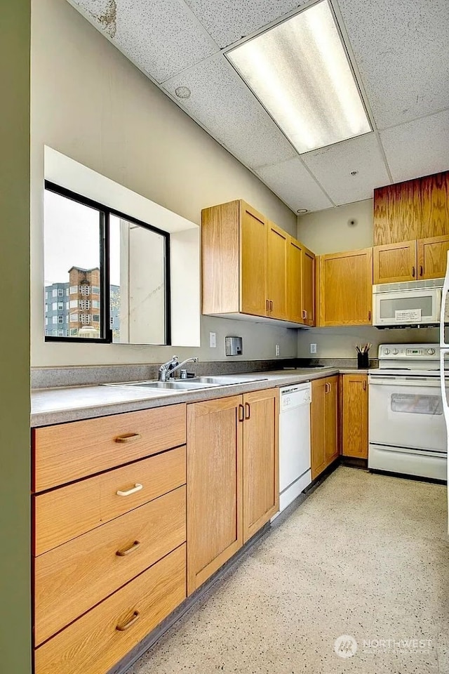 kitchen with a paneled ceiling, sink, and white appliances