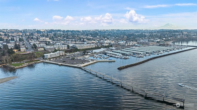 birds eye view of property with a water view