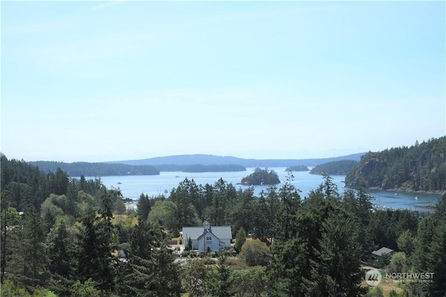 property view of water with a mountain view