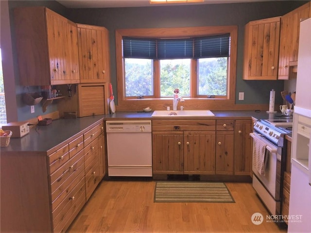 kitchen with electric range, sink, white dishwasher, and light hardwood / wood-style floors