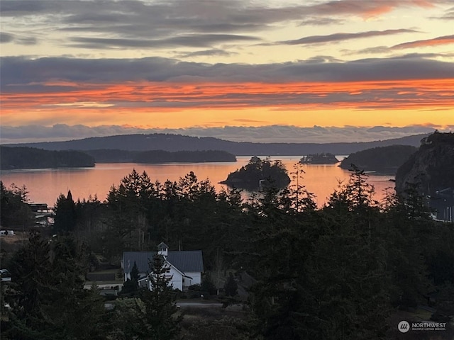 water view featuring a mountain view