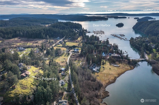 bird's eye view with a water view