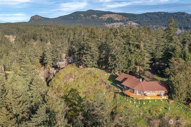 birds eye view of property with a mountain view