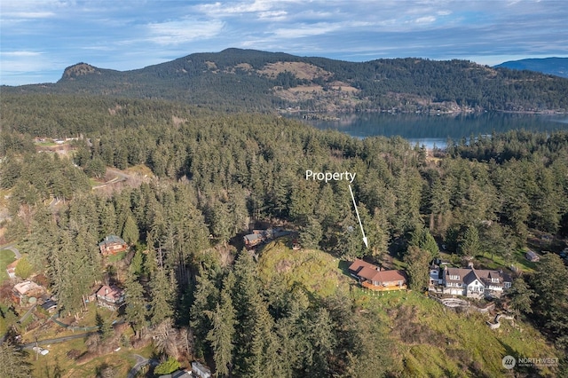 property view of mountains featuring a water view