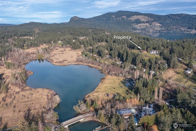 drone / aerial view with a water and mountain view