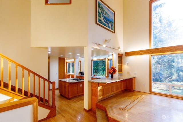 interior space featuring a towering ceiling, sink, and light hardwood / wood-style flooring